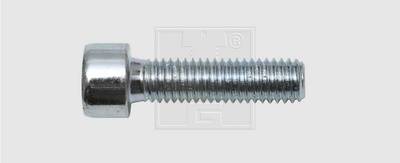 SWG Innensechskantschrauben 10 mm 30 mm Innensechskant DIN 912 Stahl verzinkt 100 St.