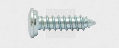 SWG 1030551925 Nummernschild-Schrauben 5.5 mm 19 mm Kreuzschlitz Phillips Stahl verzinkt 100 St.
