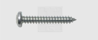 SWG Blechschrauben 5.5 mm 32 mm Kreuzschlitz Phillips DIN 7981 Stahl verzinkt 100 St.
