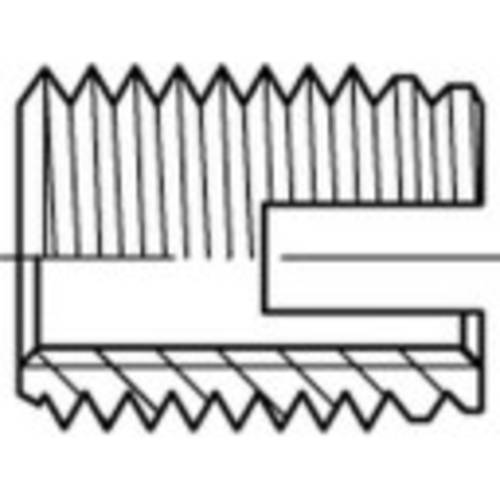 Alstertaler Schrauben & Präzisionsteile 159827 Gewindeeinsätze M3 6 mm 50 St.