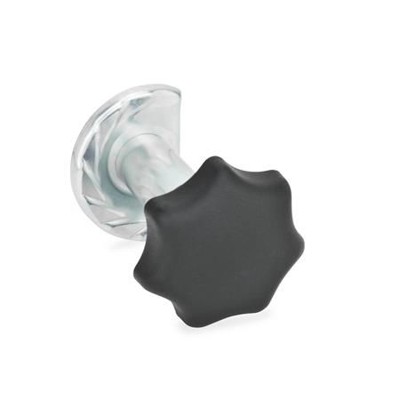 Ganter Norm® - 117-SG-T6-Z3 Türverriegelungen