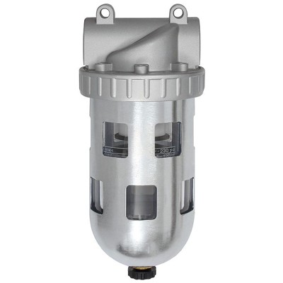 RIEGLER® - Filter »Standard«, PC-Behälter und Schutzkorb, 5 µm, BG 3, G 1"